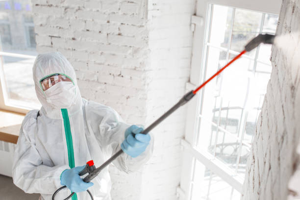 Forensic Mold Investigation in Waverly, OH