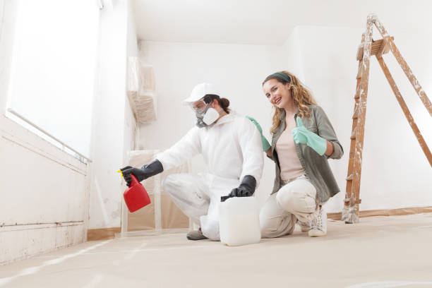 Mold Odor Removal Services in Waverly, OH